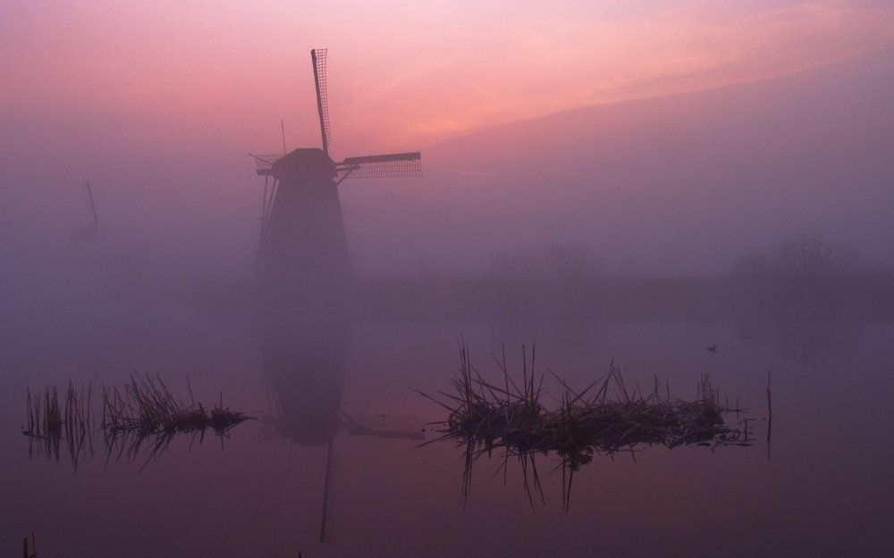 Утренний туман над рекой