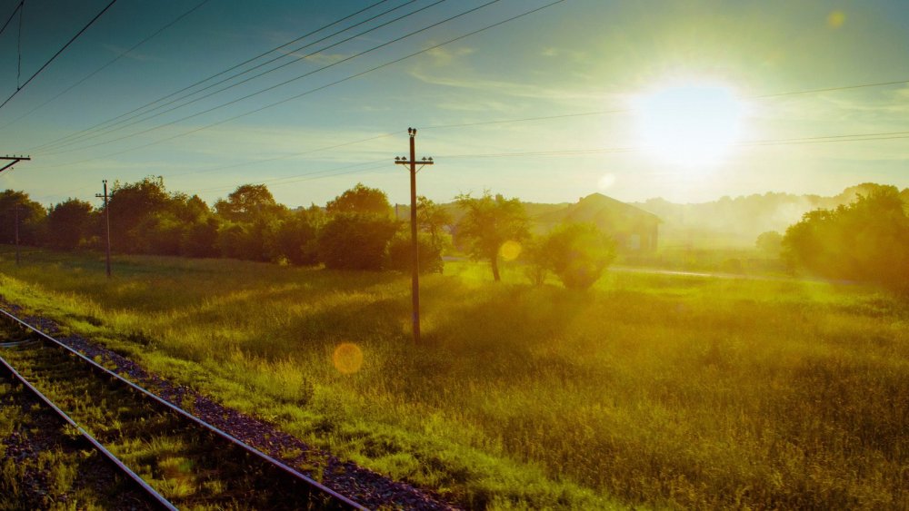 Рельсы в поле