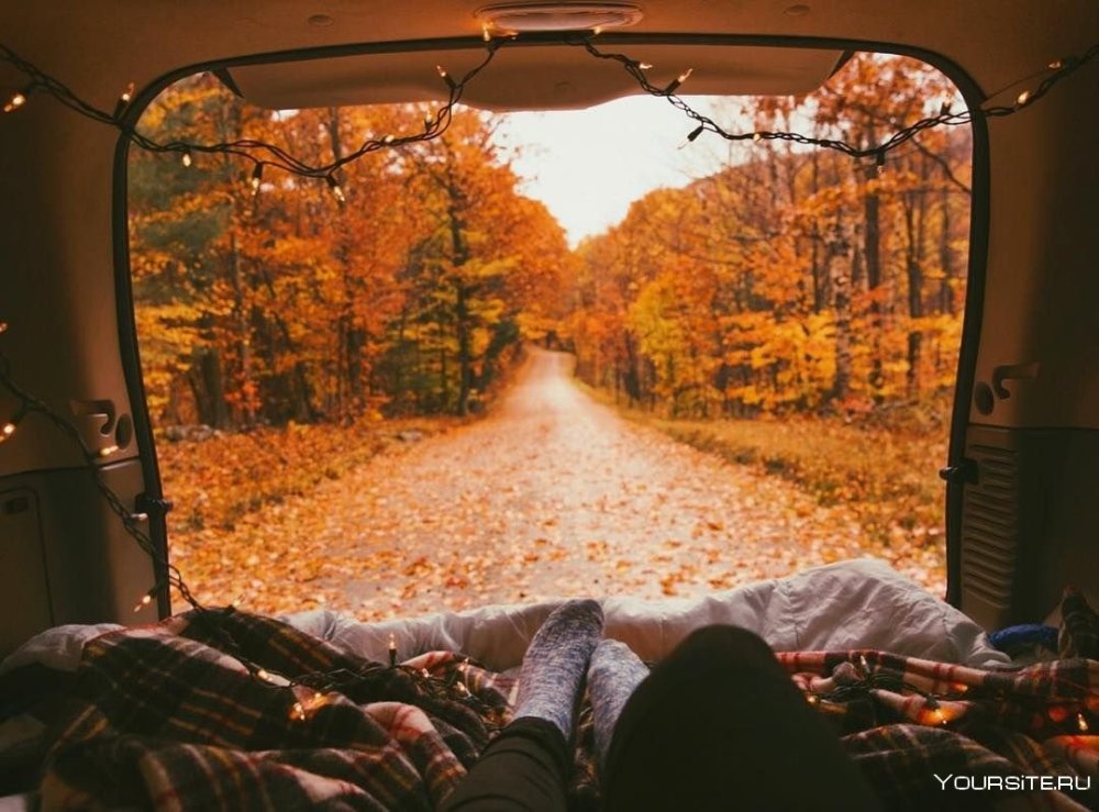 Отправляемся в путешествие