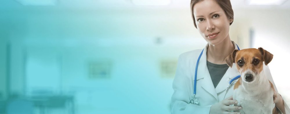 Фон ветеринар