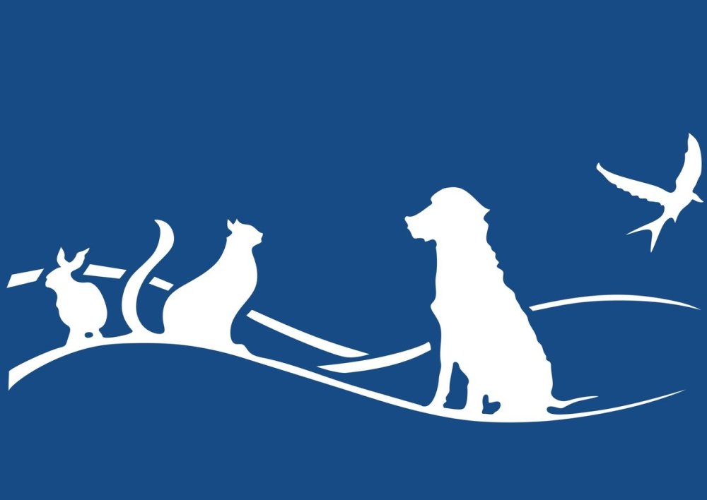 Ветеринарная клиника фон для презентации