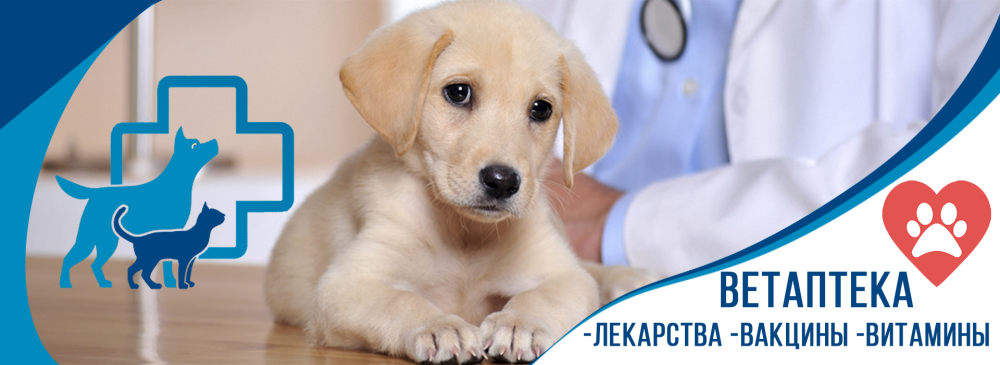 Медицинский фон для презентации