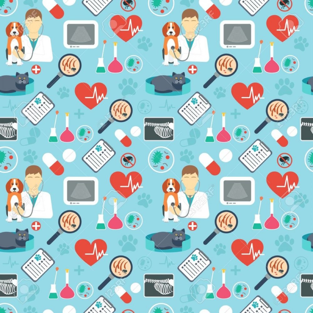 Плакаты для ветеринарной клиники