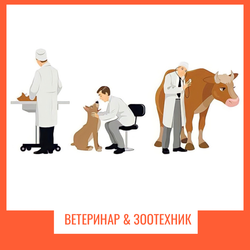 Сельскохозяйственные животные вектор