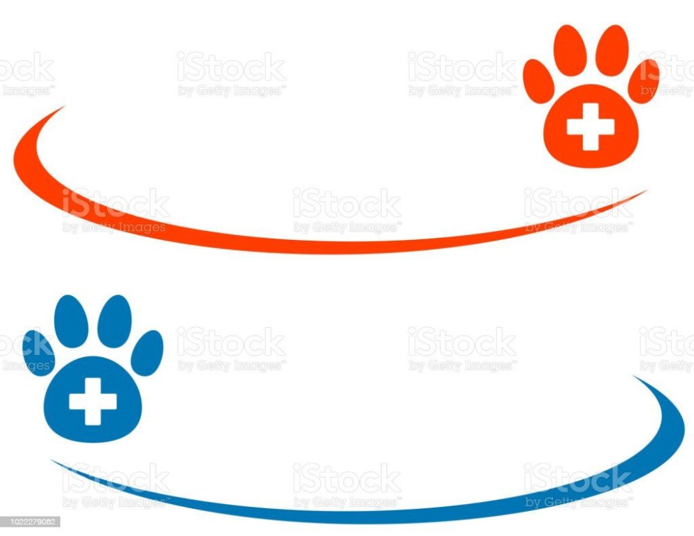 Ветеринария на баннер
