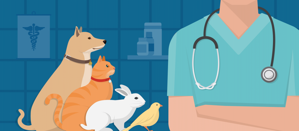 Фон для презентации собаки