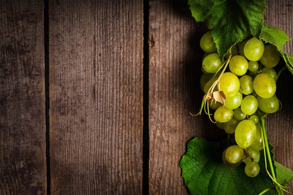 Виноградная лоза на деревянном фоне