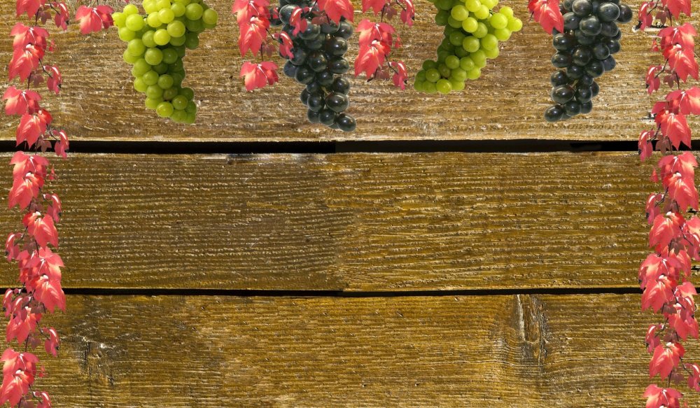 Маковей сорт винограда