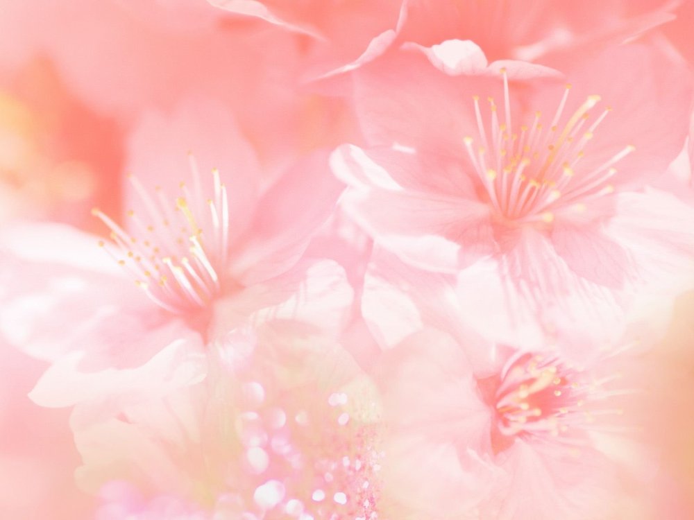 Малиновый фон