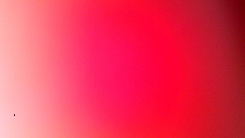 Розовый фон