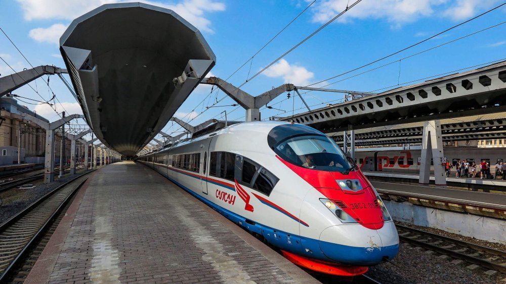 Сапсан малый (1082)