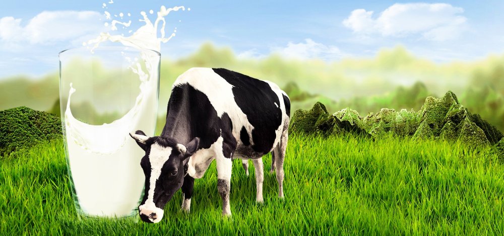 Молоко фон