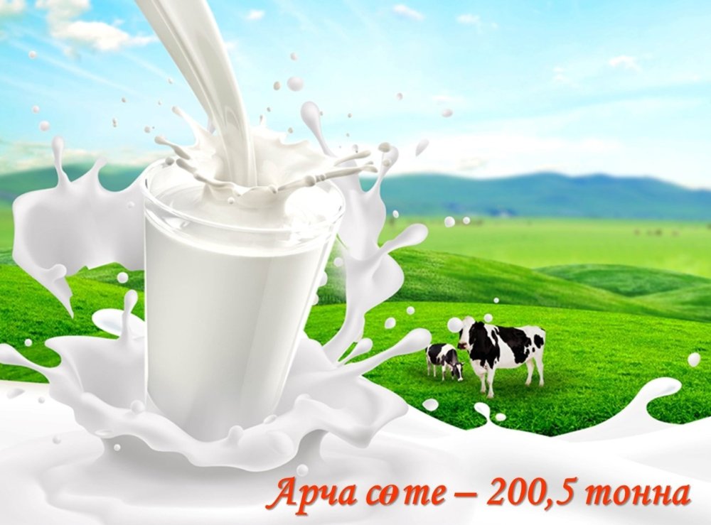 Каталог молочных продуктов