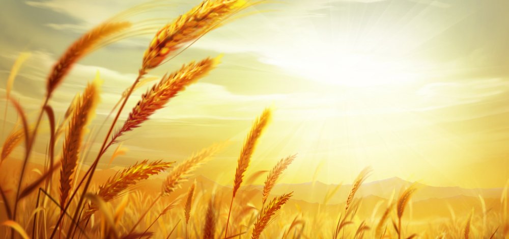 Кубань Краснодарский край