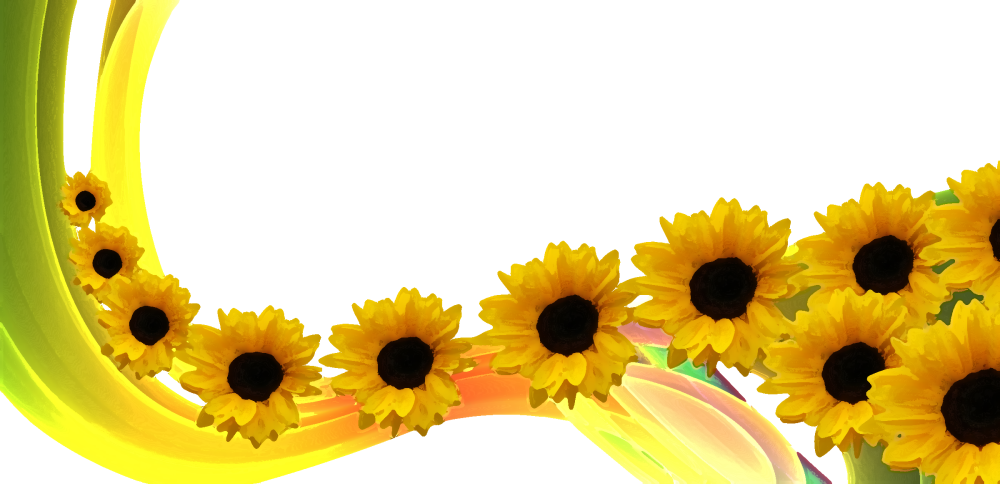 Кубань станицы поля