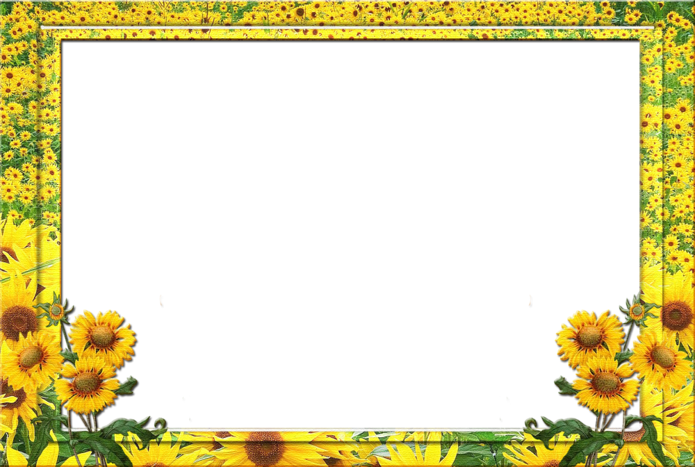 Флаг Краснодарского края