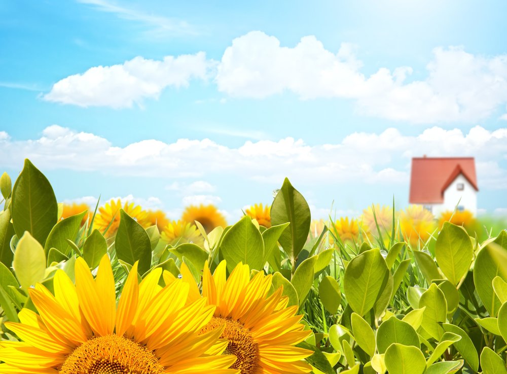 С днем місцевого самоврядування в Україні