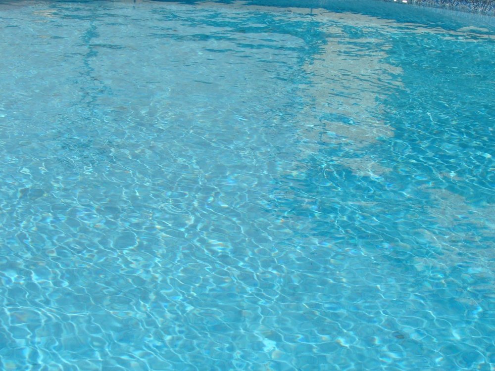 Спорт Эстетика плавание