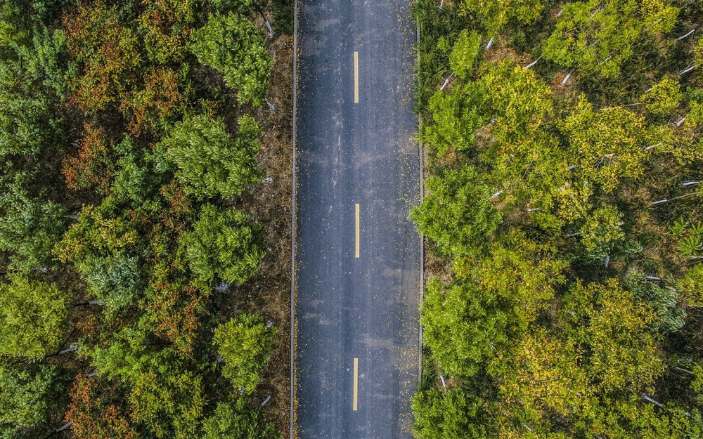 Дорога вид сверху