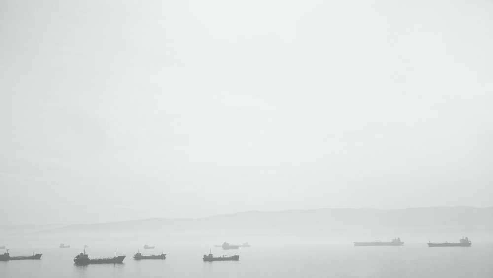 Белое море туман