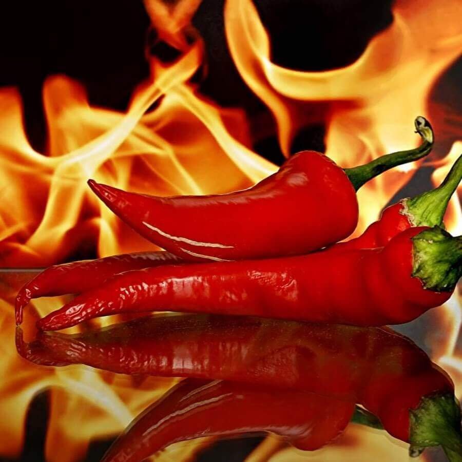 Болгарский перец