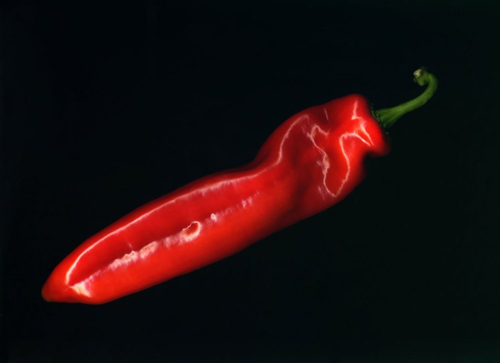 Красный перец на черном фоне