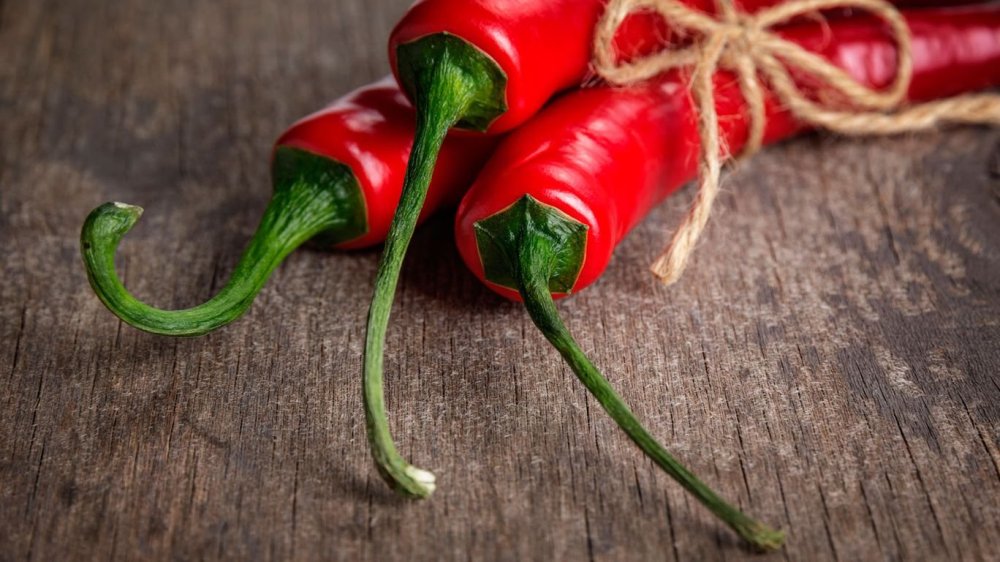 Красивый перец Чили