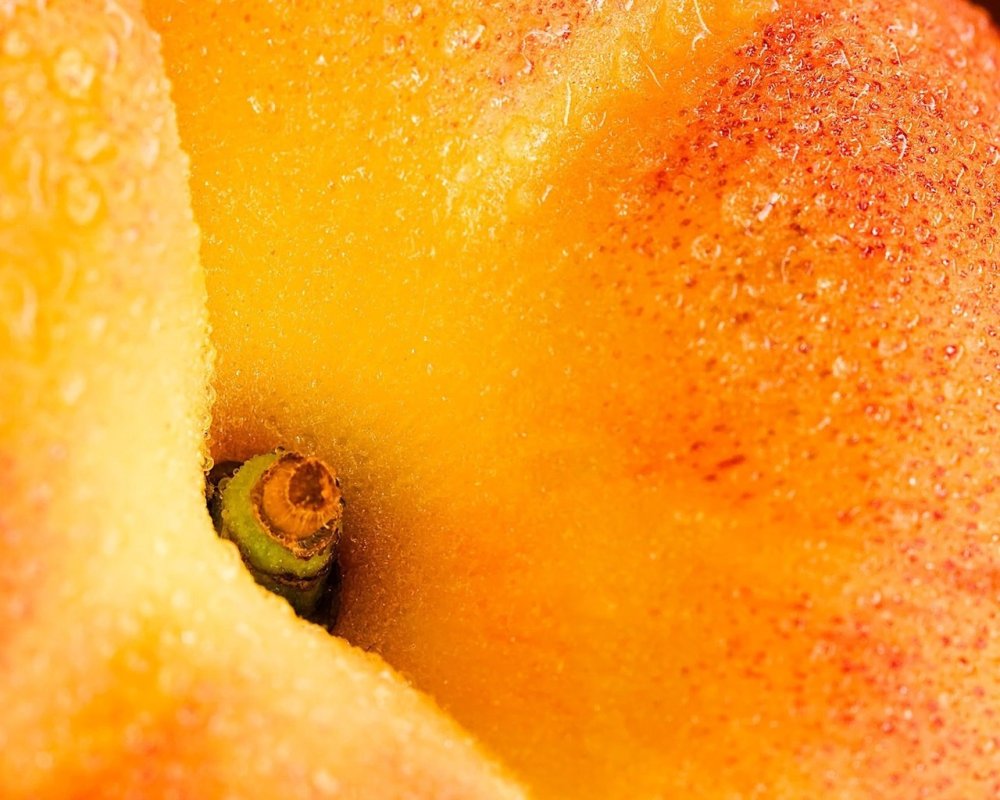 Персик Макросъемка