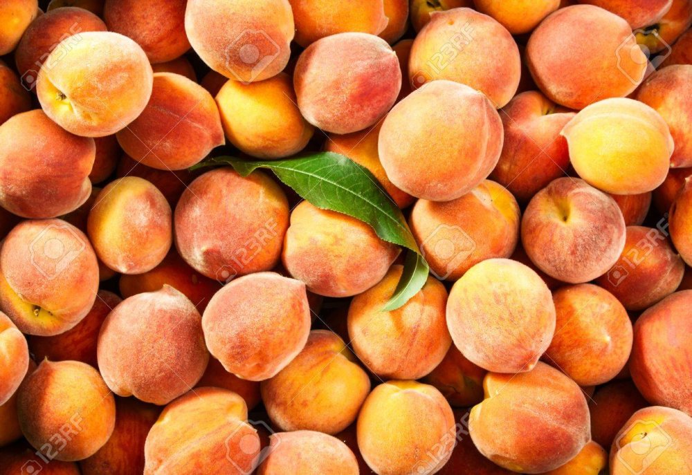 Персик желтый мохнатый