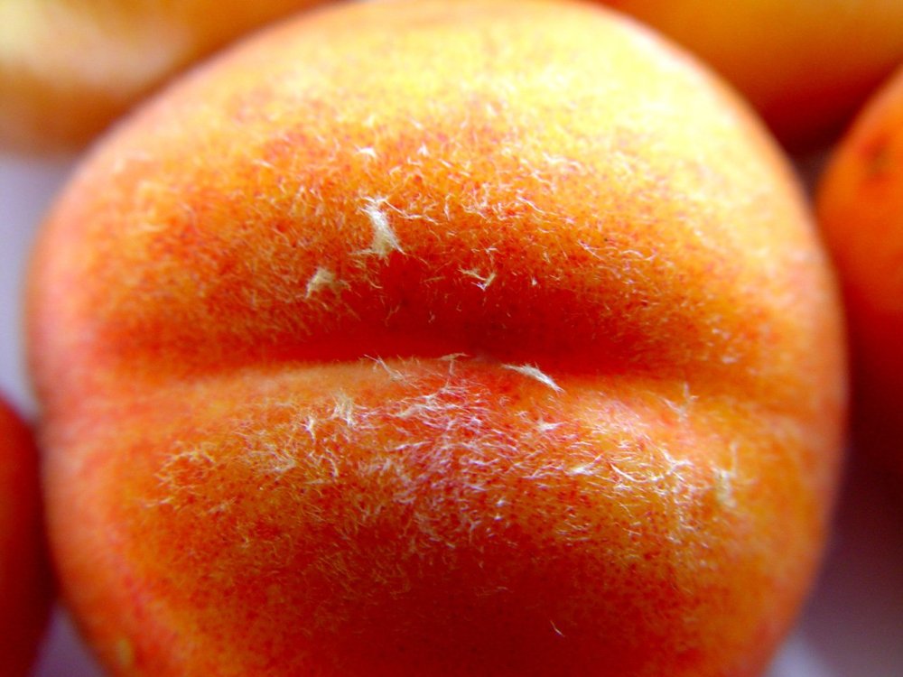 Женский персик