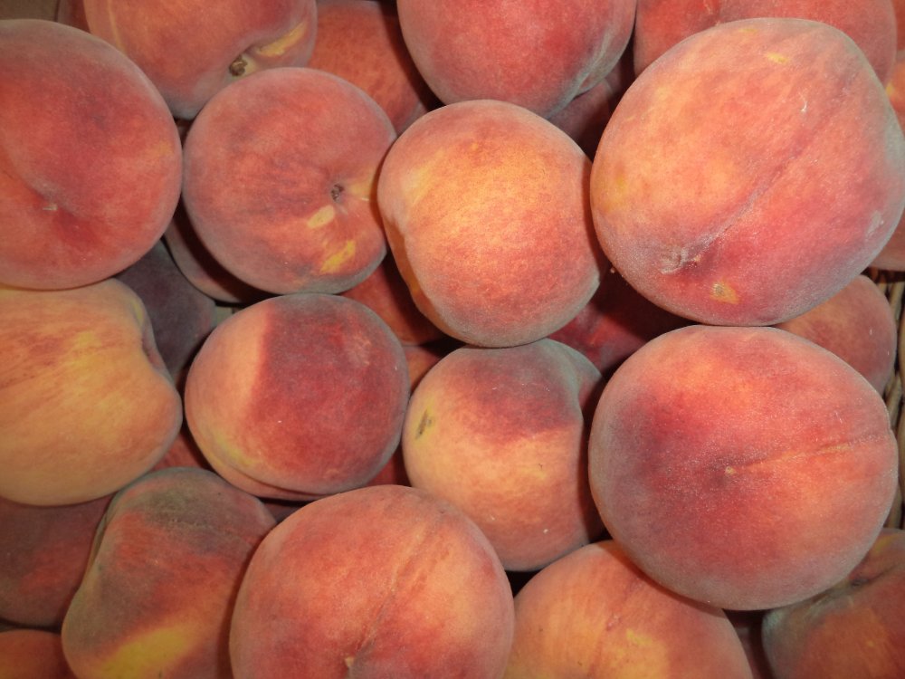 Персик Коллинз