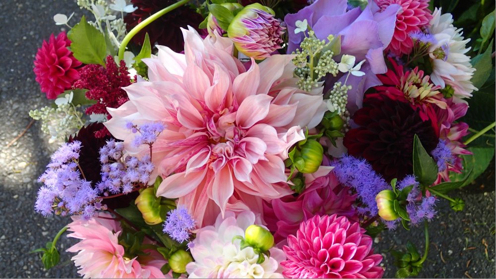 Георгины розы гладиолусы