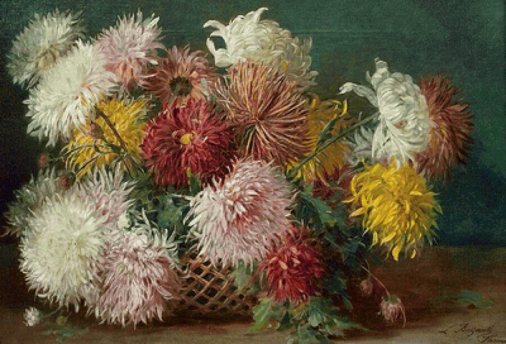 Георгины Burleska