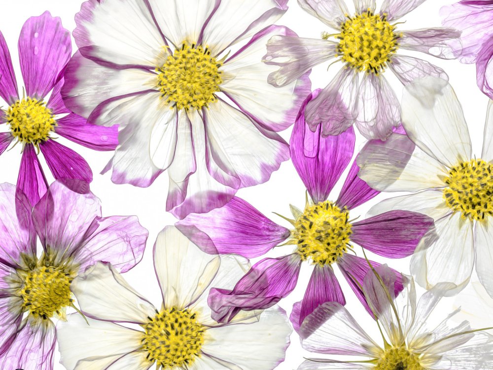 Фон для рабочего стола