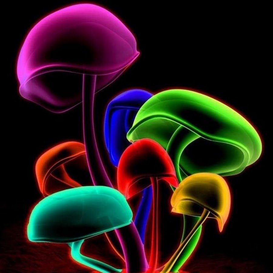 Синие светящиеся грибы