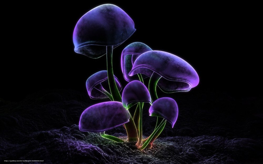 Неоновые грибы