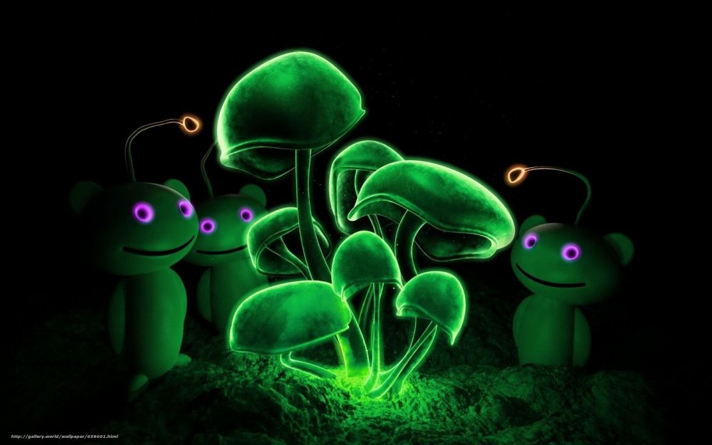 Светящиеся грибы фэнтези