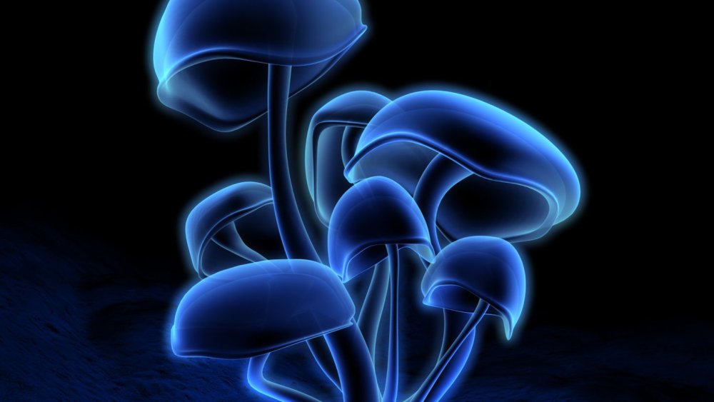 Грибы абстракция