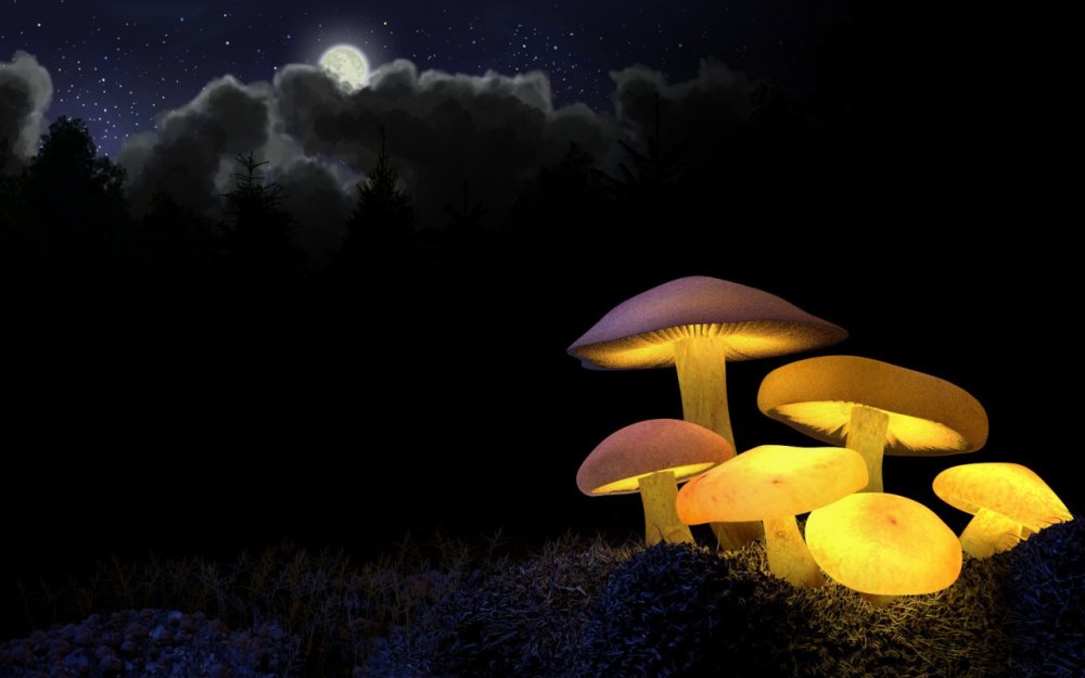 Светящиеся грибы d 3d