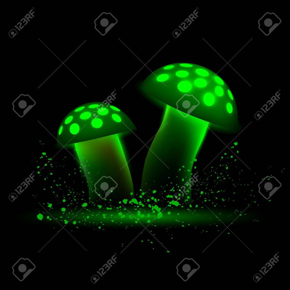 Флуоресцентный гриб Геншин