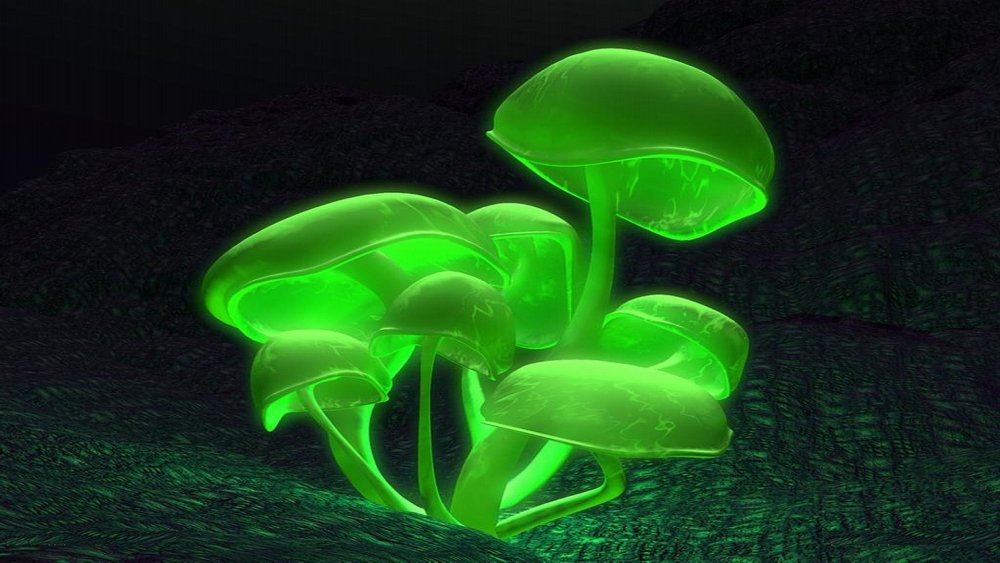 Мицена хлорофос