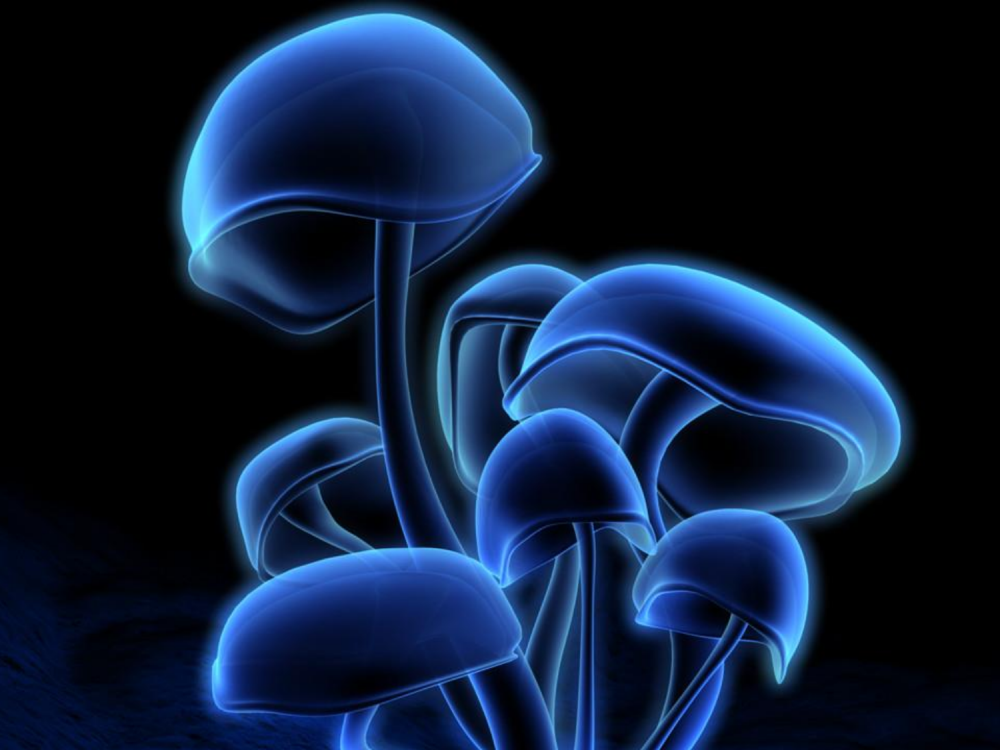 Неоновая трава