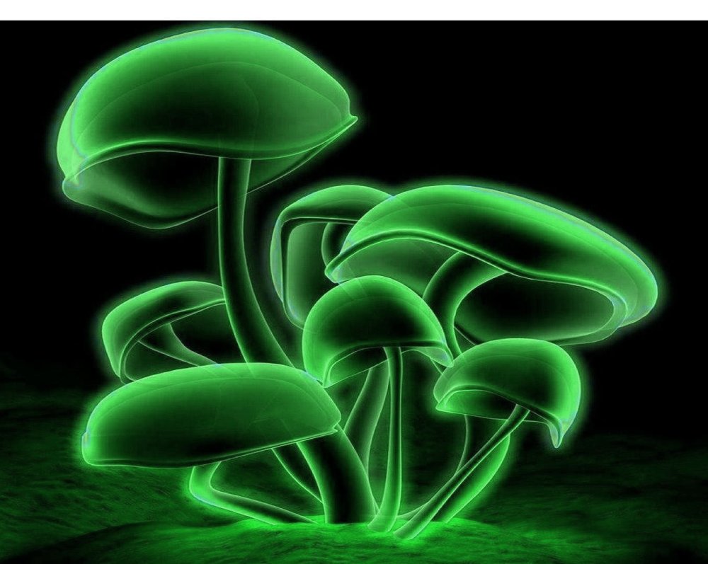 Неоновые грибы обои