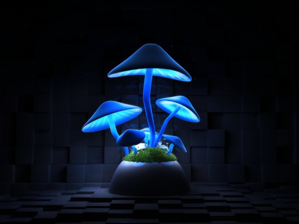 Грибы неон рисунок