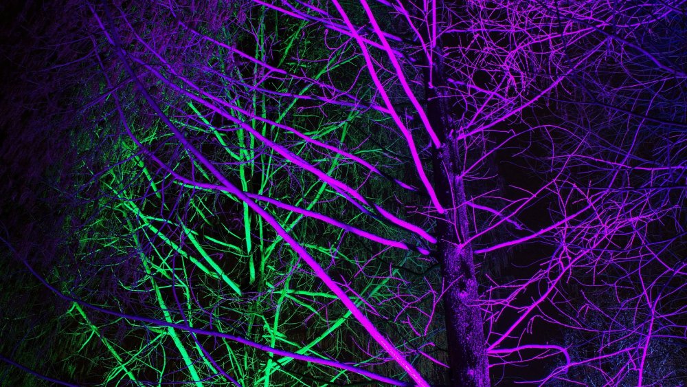 Неон Эстетика