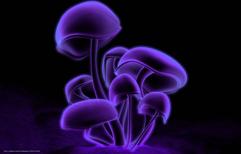 Неоновые грибы на черном фоне