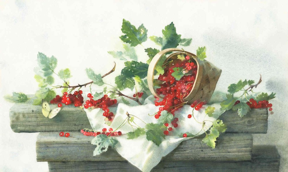 Красная смородина акварель Елена Базанова