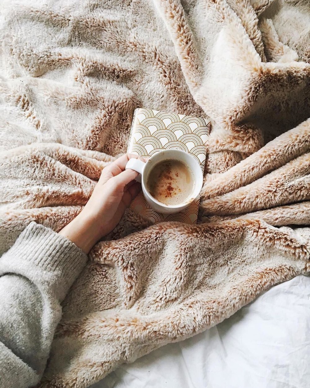 Уютный плед и чай