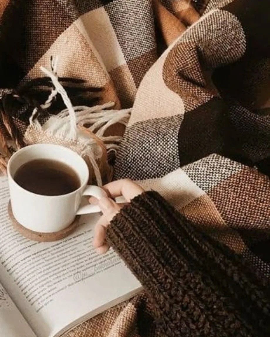 Красивые раскладки с книгами