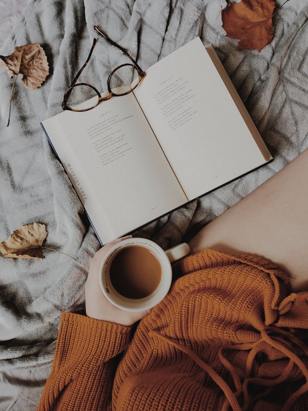 Уютная осень